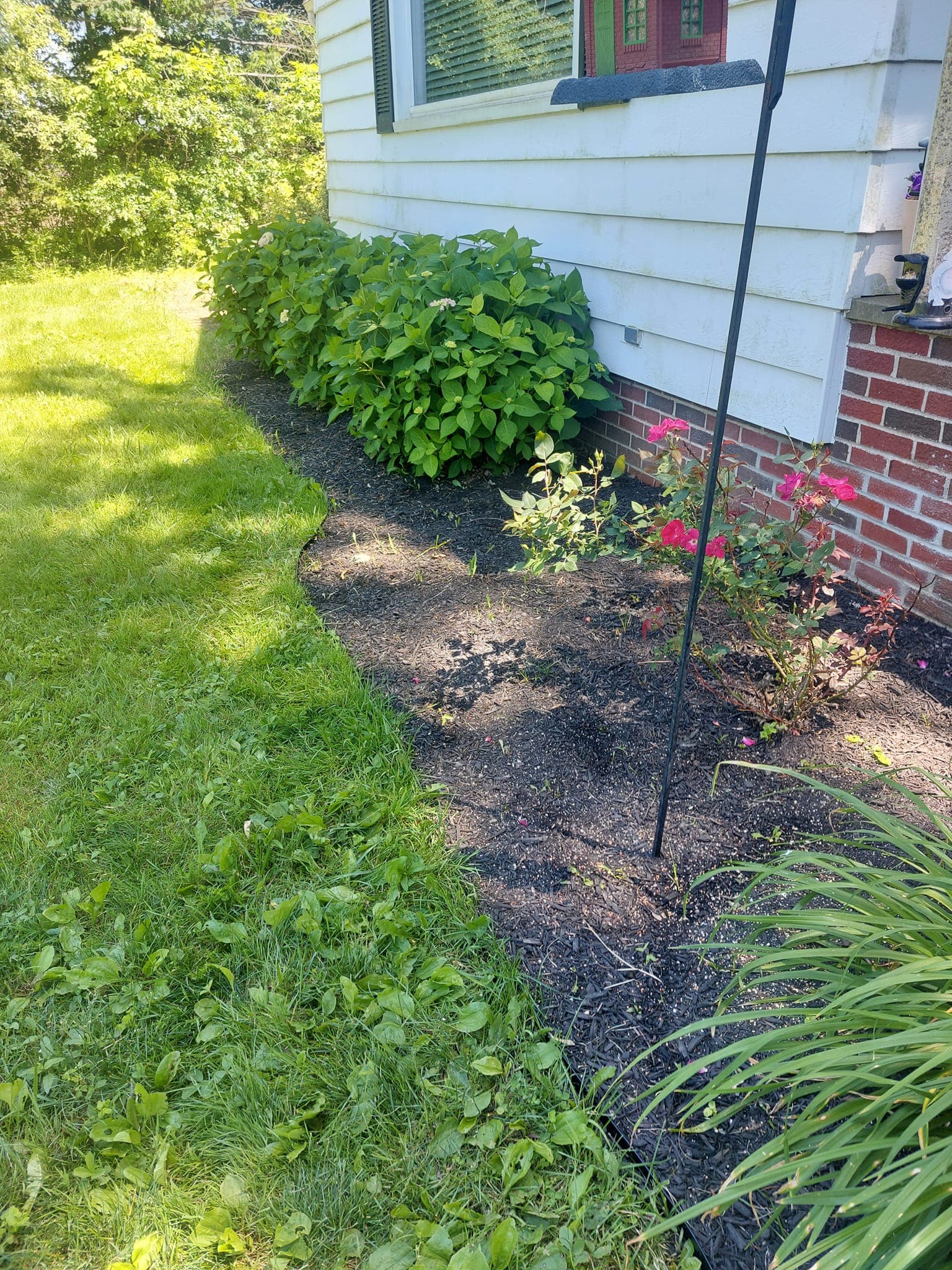 Lined up flower bed